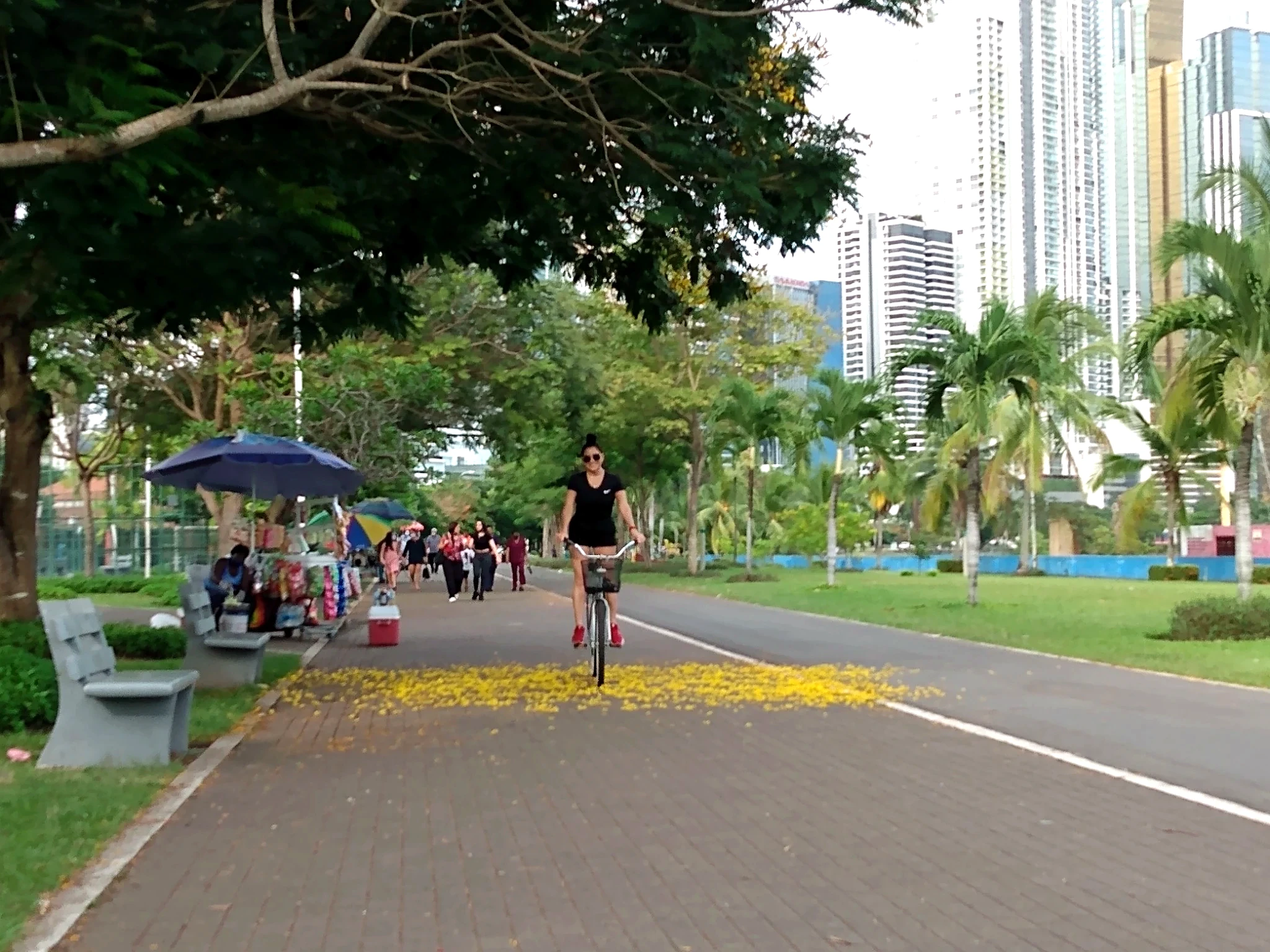 Heather riding a bicycle through Panama with yellow flowers