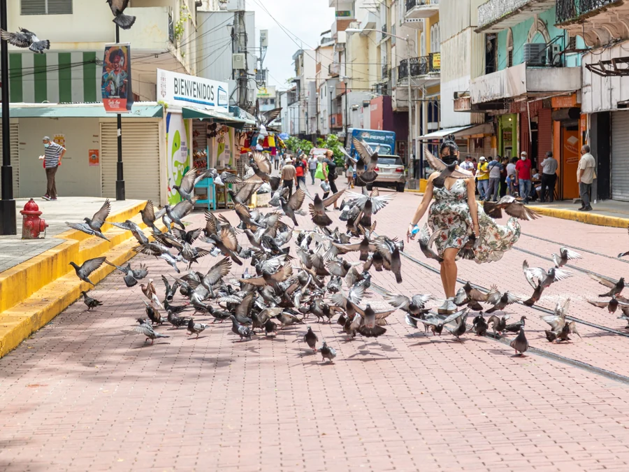 Birds taking flight on a Panama street